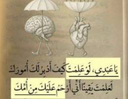  بيت للايجار 
