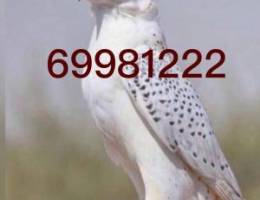  ‏للإيجار بيت كامل في العارضيه دورين ملحق 