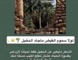  للايجار في جميع مناطق الكويت 