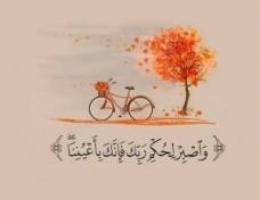  شقه للايجار 