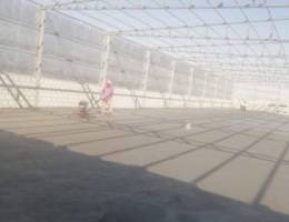  حداد مخازن وهناقر جميع الحداده 