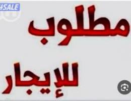  مطلوب ادوار للايجار 