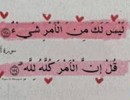  شقه للايجار 