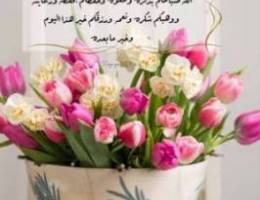  محل للايجار ف حولي مساحه 17 
