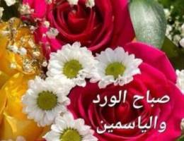  للايجار شقق وافدين فى غرناطه ق٢ 