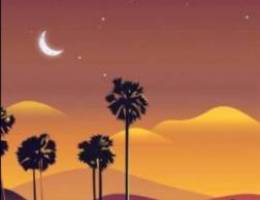 صباح الناصر قطعة 2 شارع 5 