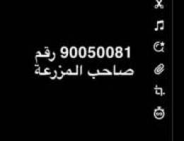  ‏مزرعة للإيجار مساحة 10000الوفرة طريق 500 