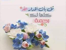  للإيجار بالنسيم. وسعد. والمطلاع والقيروان 
