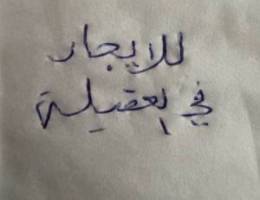  للايجار في العقيله شقه دوراول 