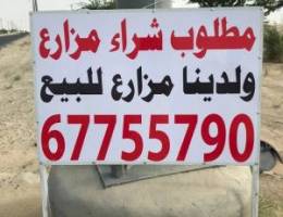  للايجار جاخور بالوفره شهري 