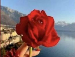  شقه لليجار العاضيه 
