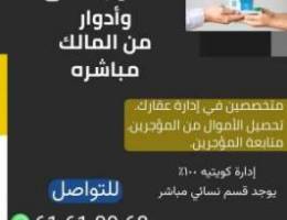  شقق للإيجار 