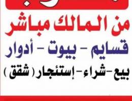  للايجار بين في الظهر 