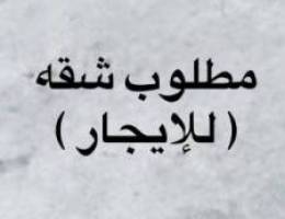  مطلوب شقه للإيجار معاريس مطلوب 
