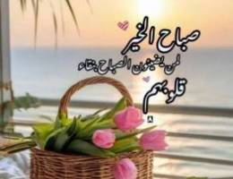 للايجار شقه بجابر العلي ٢غرفه ٢حمام وصاله ومطبخ وغرفة خ 