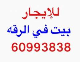  للإيجار بيت في الرقه 