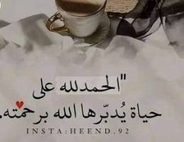  للايجار شقه في ابو فطيرة والفنيطيس 
