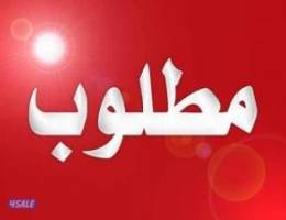  مطلوب سرداب العارضية الحرفية من المالك 