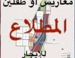  للإجار شقة بالمطلاع N11 لعائلة كويتية معاريس أو طفلين 