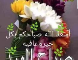  شقق للايجار غرب عبدالله مبارك 