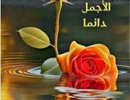  للايجارفيلا 