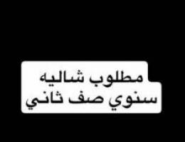  مطلوب شاليه سنوي صف ثاني 