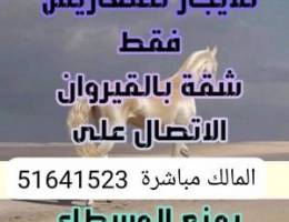  شقة للمعاريس فقط يمنع مكاتب الاجار 