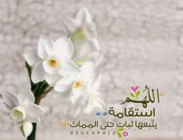  للايجار قسيمة في توسعة الوفرة 