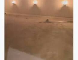  شقه مع سطح وديوانيه المطلاع 