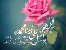 استيديو للإيجار 