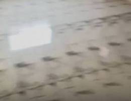  بيت للايجار شقق للايجار 