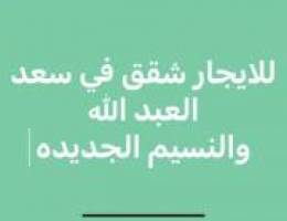  للايجار شقه سعد العبدالله 