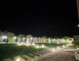  مزرعة دار الريم بالوفرة 
