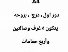 دور درج في صباح الاحمد 