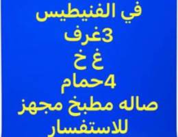  للايجار شقه في (الفنيطيس 