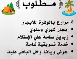  ‏مطلوب مزرعة للإيجار من السدة الملاك مباشر 