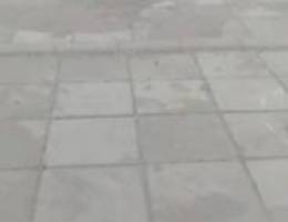  اسطبل راس مكون ديوانية كبيرة +غرفة + مطبخ + دورة مياه + حوش كبير 