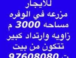  للايجار مزرعه في الوفره مساحه 3000 م زاويه مقابل بر وارتداد فيها بيت 