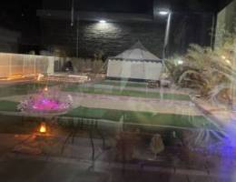  منطقه كبد 