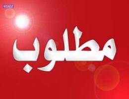  مطلوب شقة لسكن موظفين 