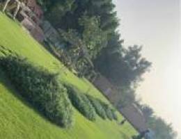 متوفرة بالوفرة هالويك اند ويوجد شهري كذلك 