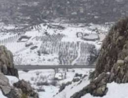  مطلوب محل الايجار 