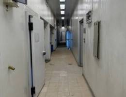  للإيجار قسائم صناعية في العارضية 