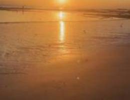  خلو شقه بالعقيله 