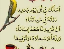  يوجد لدينا سراب للتخزين المساحه 1000.    ومحل . ومكاتب للايجار بالري 