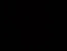  شقه بقسائم العثمان 