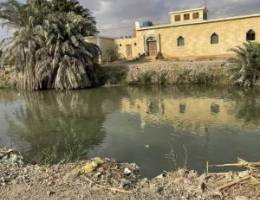  الشعب البحري 