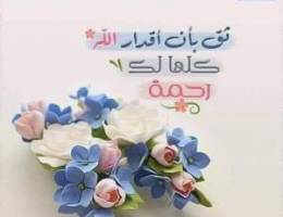  للإيجار بالمطلاع 