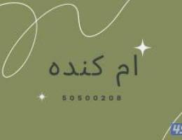  عقارات للإيجار 
