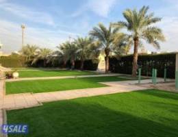  للايجار شقق فى هديه 